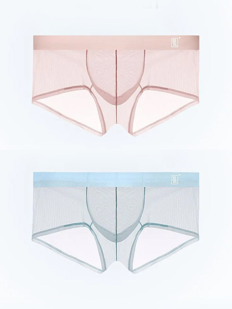 Men's Ultra-thin Low-Rise See-Through Ice Silk Briefs