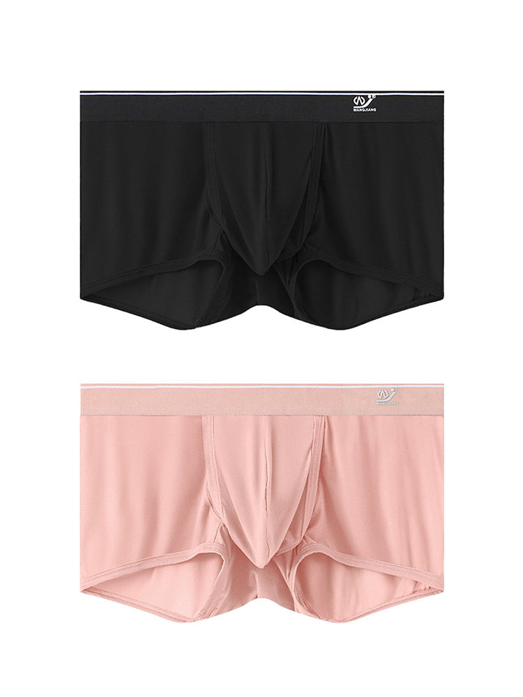 2 Pack Men's Breathable Mesh Trunks with Fly