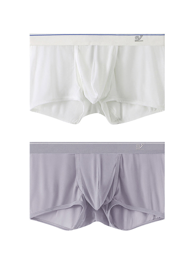 2 Pack Men's Breathable Mesh Trunks with Fly