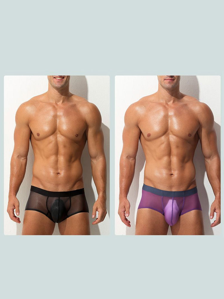 Men's Transparent Sexy Ice Silk Seamless Boxer Briefs