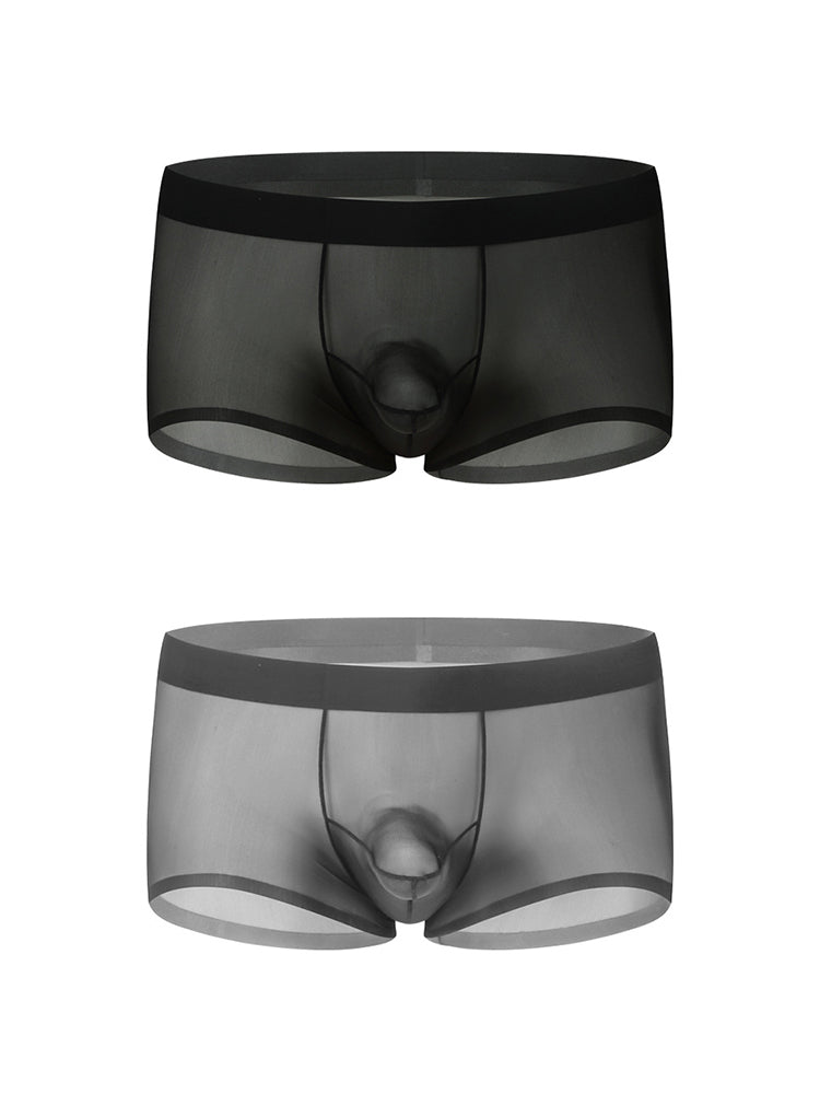 2 Pack Men's Ice Silk Separated Pouch Breathable Stretch Fit Trunks