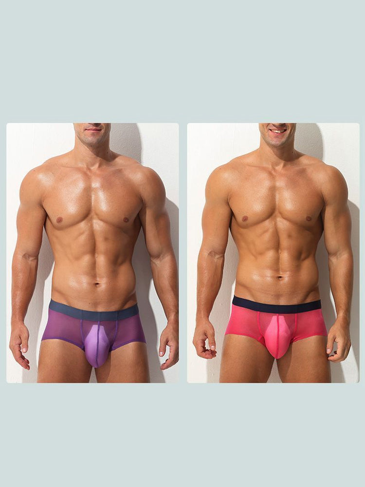 Men's Transparent Sexy Ice Silk Seamless Boxer Briefs