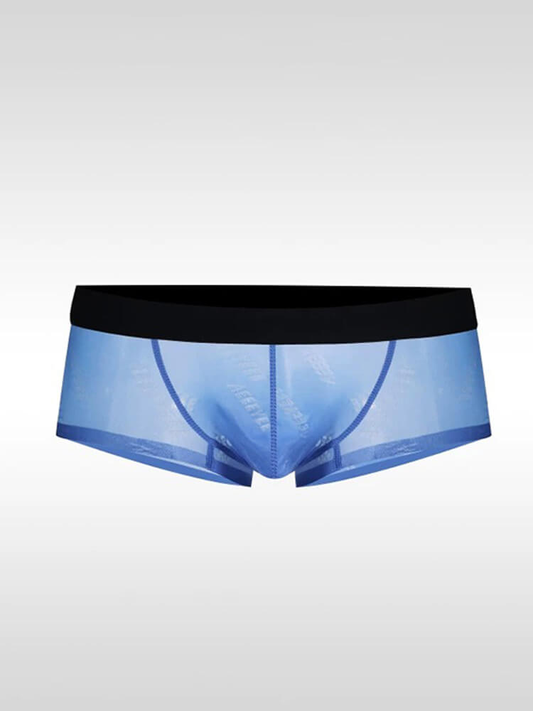 Men's Ultra-Thin Sexy Sheer High-Cut Underwear