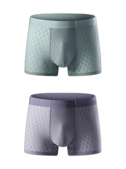 2 Pack Men's Breathable Quick-drying Thin Trunks