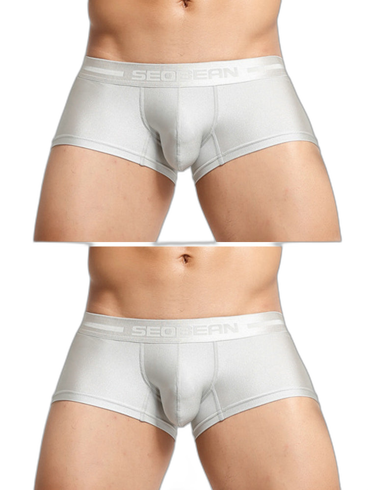 2 Pack Men’s Lustrous Metallic Trunks