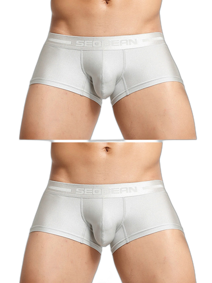 2 Pack Men’s Lustrous Metallic Trunks