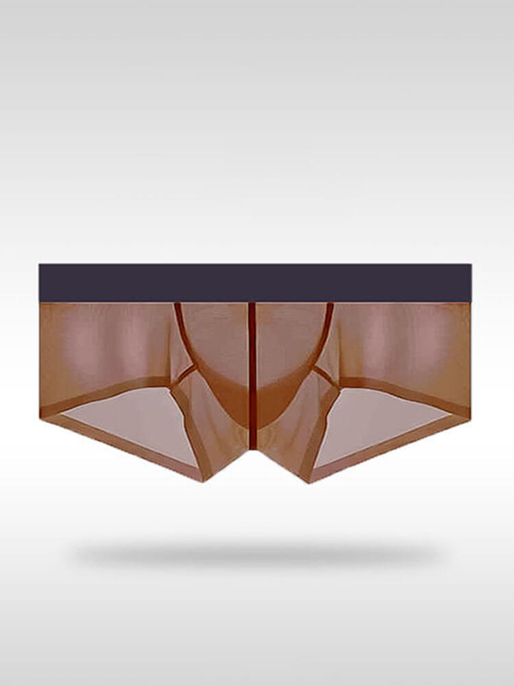 Men's Sexy Tight Transparent Low Rise Trunks