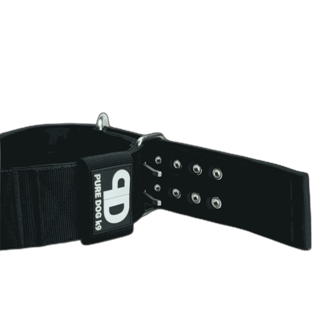 Pure Dog K9 Sport Collar Black