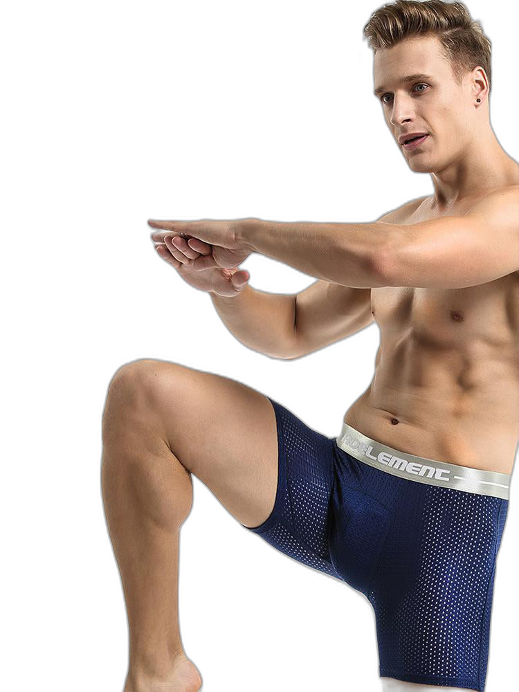 2 Pack Mesh Ice Silk Moisture Wicking Sport Boxer Underwear