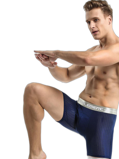 2 Pack Mesh Ice Silk Moisture Wicking Sport Boxer Underwear