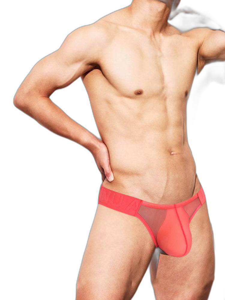 2 Pack Ultra-Thin Men's Breathable Semi-Transparent Sexy Bikini
