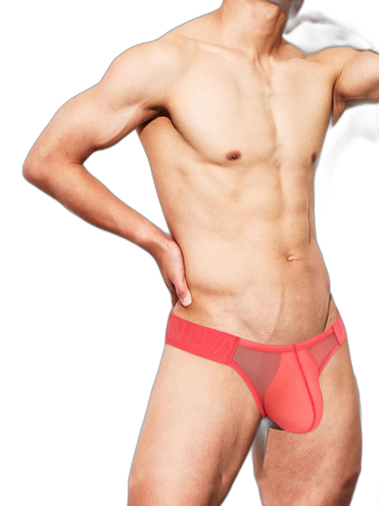 2 Pack Ultra-Thin Men's Breathable Semi-Transparent Sexy Bikini