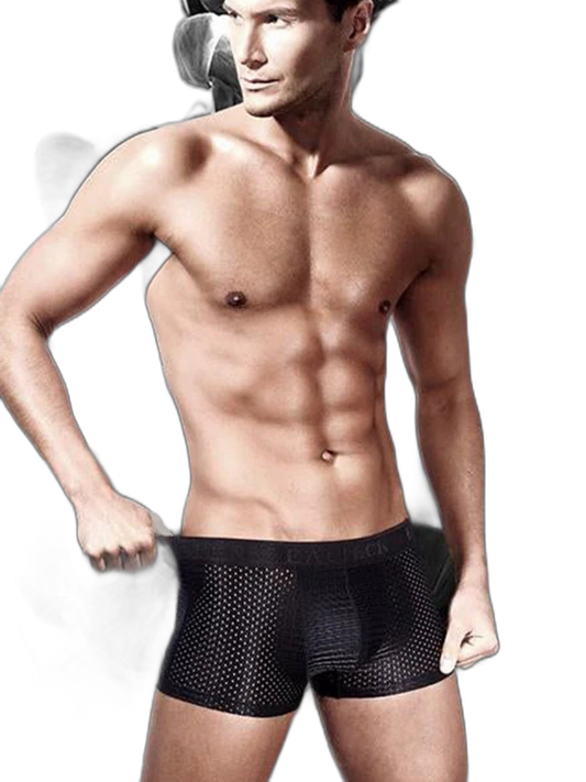 3Pcs Men's Mesh Thin Ice Silk Underwear