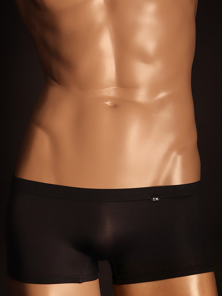 Men's Sexy Semi-Sheer Seamless Boxer Briefs