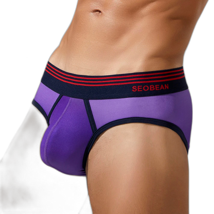 SEOBEAN Ombre Luxe Boxer Shorts