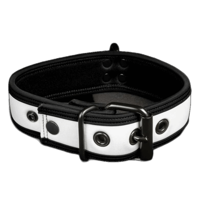 Mr S Leather NEO Puppy Collar White