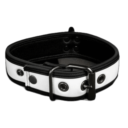 Mr S Leather NEO Puppy Collar White