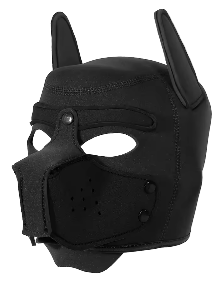 Puppies First Hood Black