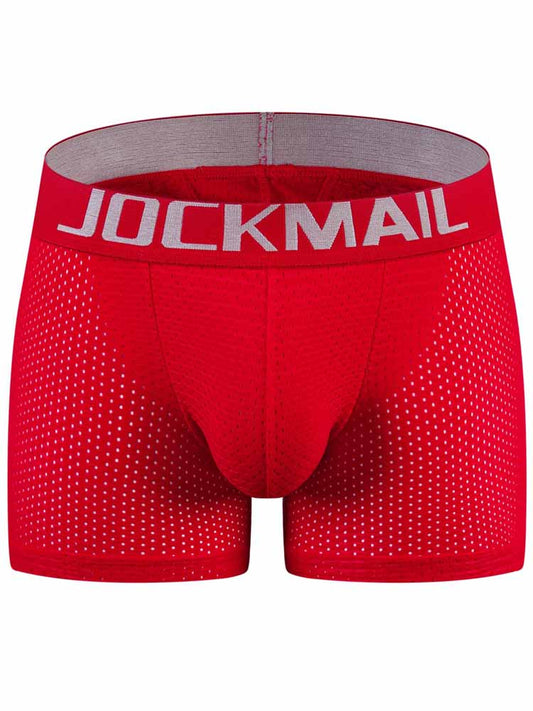 Men's Mesh Breathable Sponge Padded Trunks