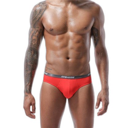 4 Pack Modal U Convex Pouch Seamless Briefs for Men