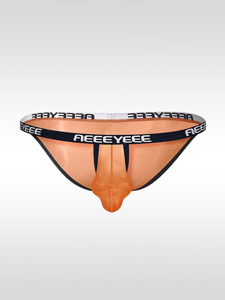 Men's Ultra-Thin Sexy Sheer High-Cut Underwear