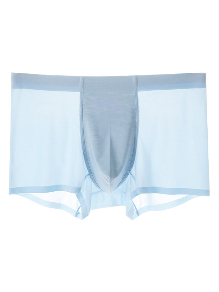 Men's Ice Silk Quick Dry Nylon Trunks