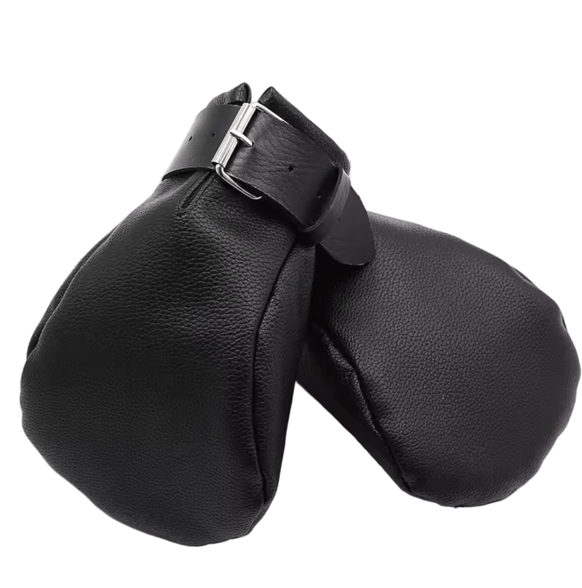 Leather Puppy Mitts