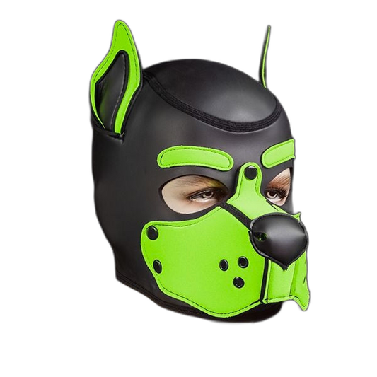 Mr S Leather Neoprene K9 Puppy Hood | Black/Lime Green