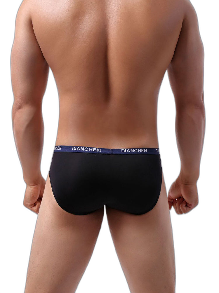 4 Pack Men's Ultra-Soft Ice Silk Briefs
