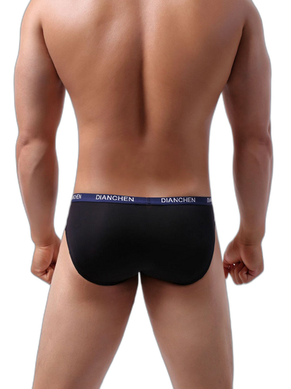 4 Pack Men's Ultra-Soft Ice Silk Briefs