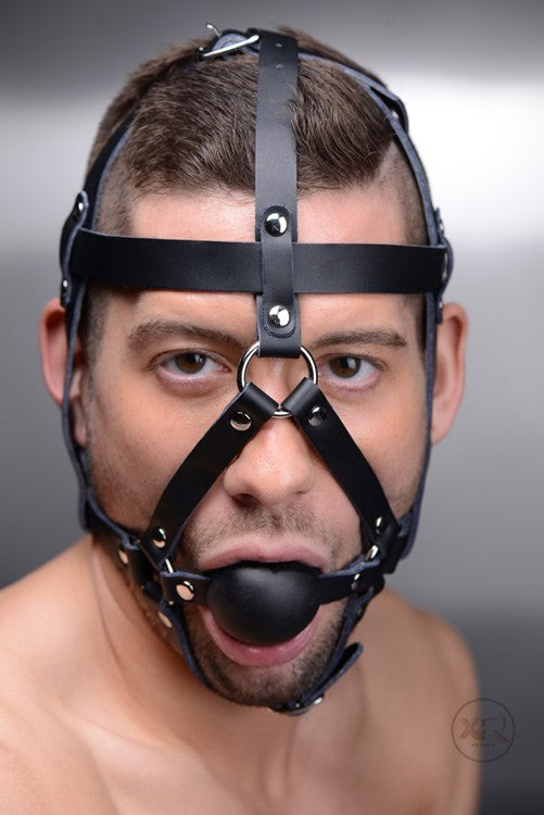 Leather Head Harness with Ball Gag