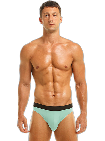 4 Pack Ice Silk Seamless Men's Briefs
