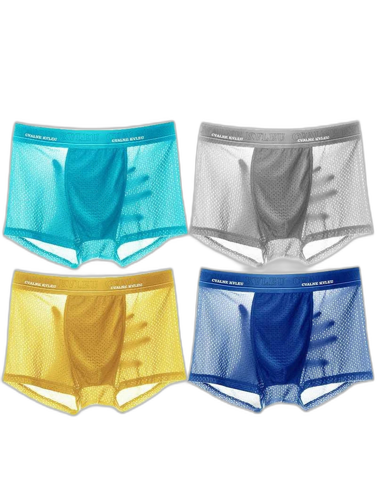 4 Pack Mesh Breathable Ice Silk Underwear Boxer