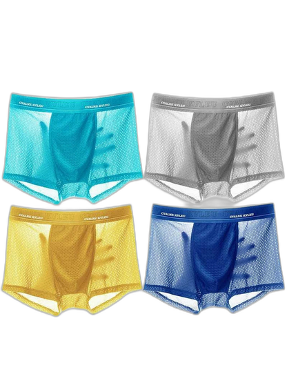 4 Pack Mesh Breathable Ice Silk Underwear Boxer