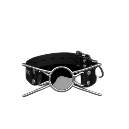 Stainless Steel Spider Gag