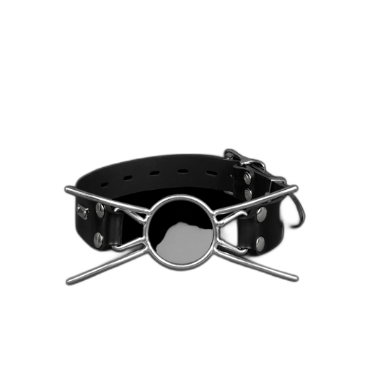 Stainless Steel Spider Gag