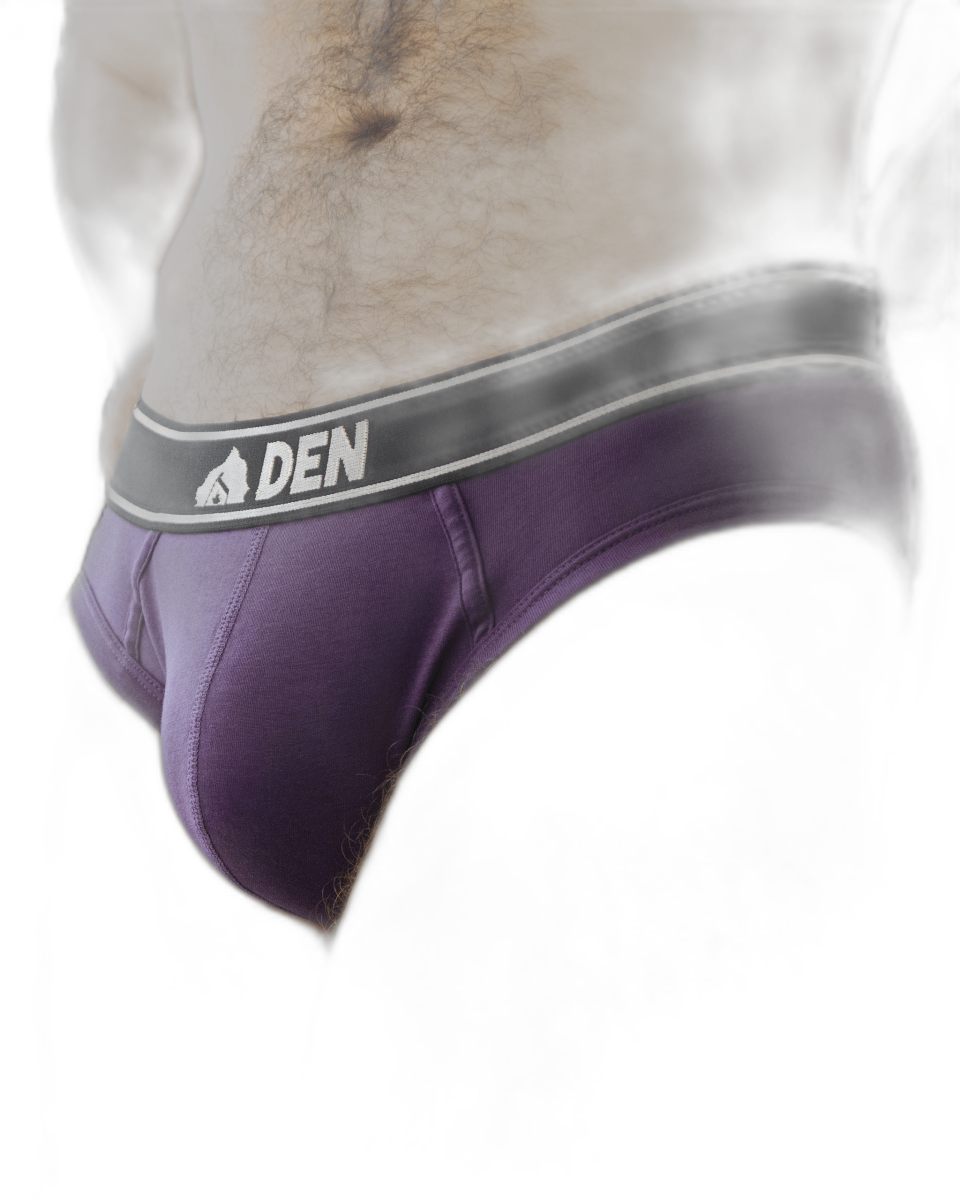 Den CORE Brief - Purple