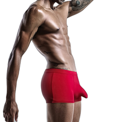 4 Pack Modal Separate Pouch Men's Underwear