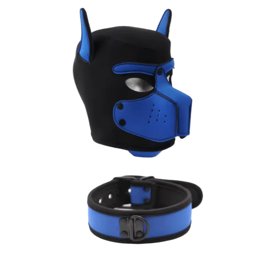 Pup Starter Kit Blue