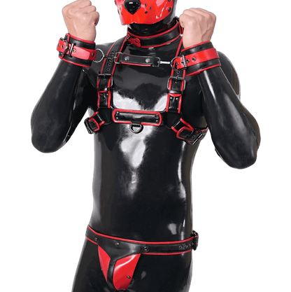 Furrjoi Harness, Cuff, Collar, Lead Underwear Bundle Red
