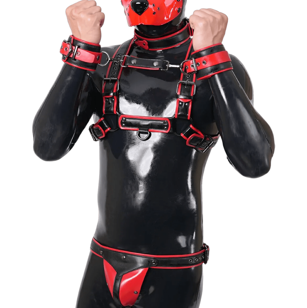 Furrjoi Harness, Cuff, Collar, Lead Underwear Bundle Red