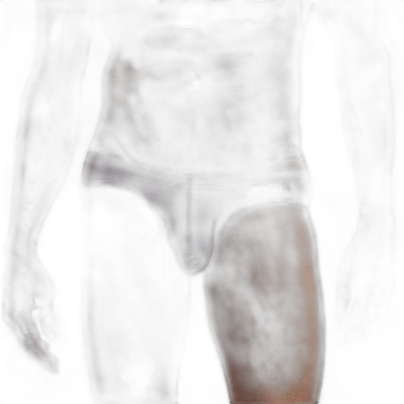 Barely There Briefs