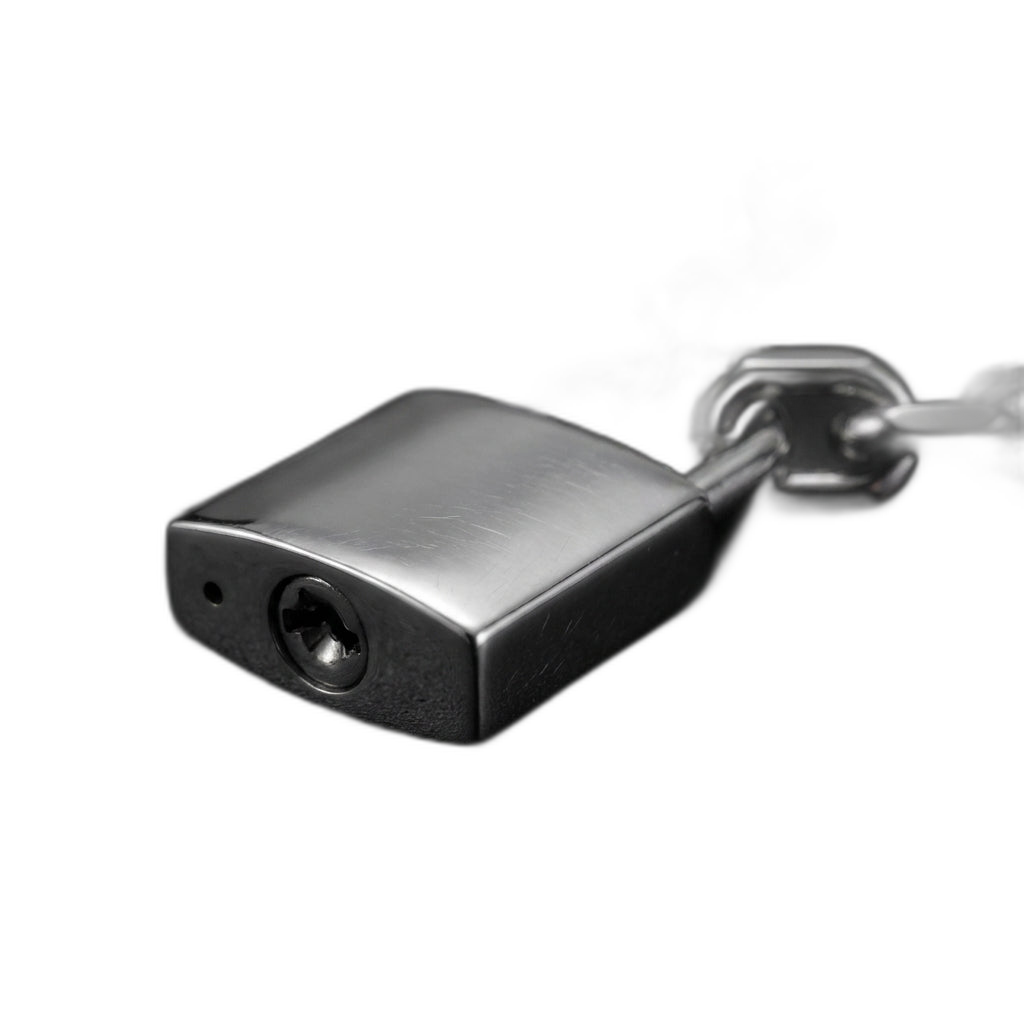 Heavy Lock Necklace
