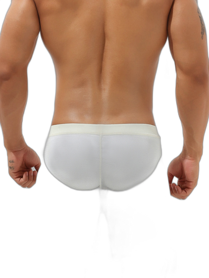 Men’s Sexy See Through Mesh Boxer Shorts