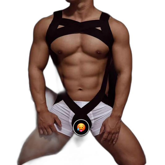 Wide Band Full Body Harness