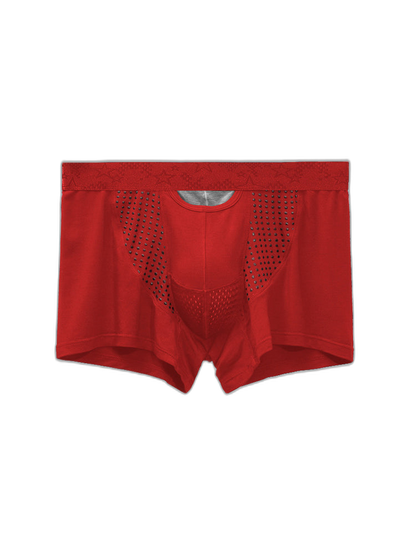 Men's Modal Dual Separate Pouch Trunks