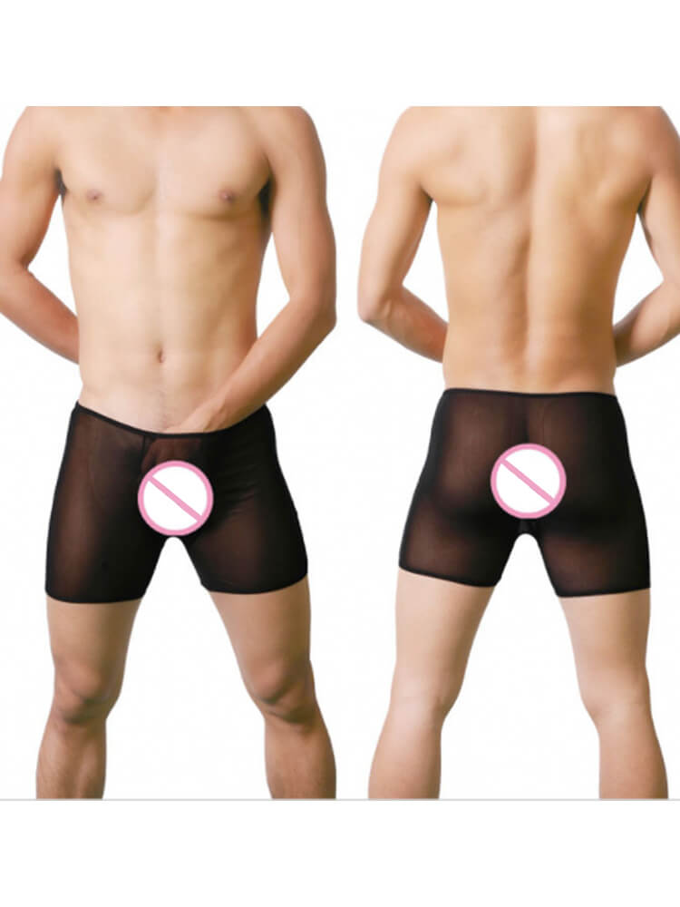 Men's Mesh See-Through Sexy Solid Boxer Briefs