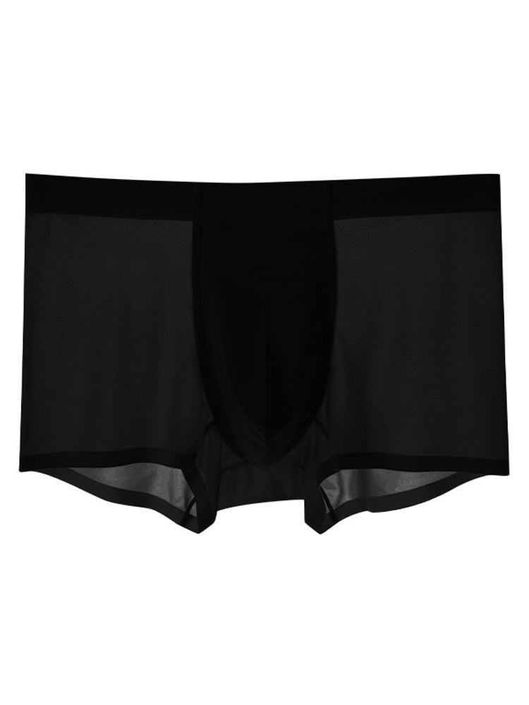 Men's Ice Silk Quick Dry Nylon Trunks