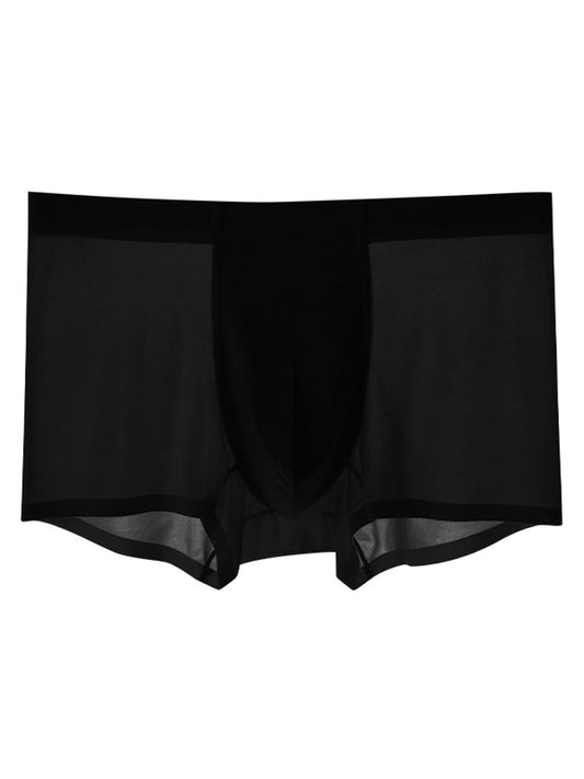 Men's Ice Silk Quick Dry Nylon Trunks