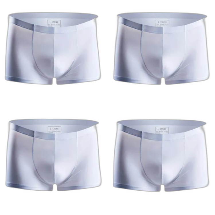 Ice Embrace Transparent Boxer Briefs (4 Pack)